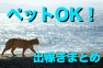 意外と少ない！ペットOKでしっかり稼げる出稼ぎ風俗求人まとめ